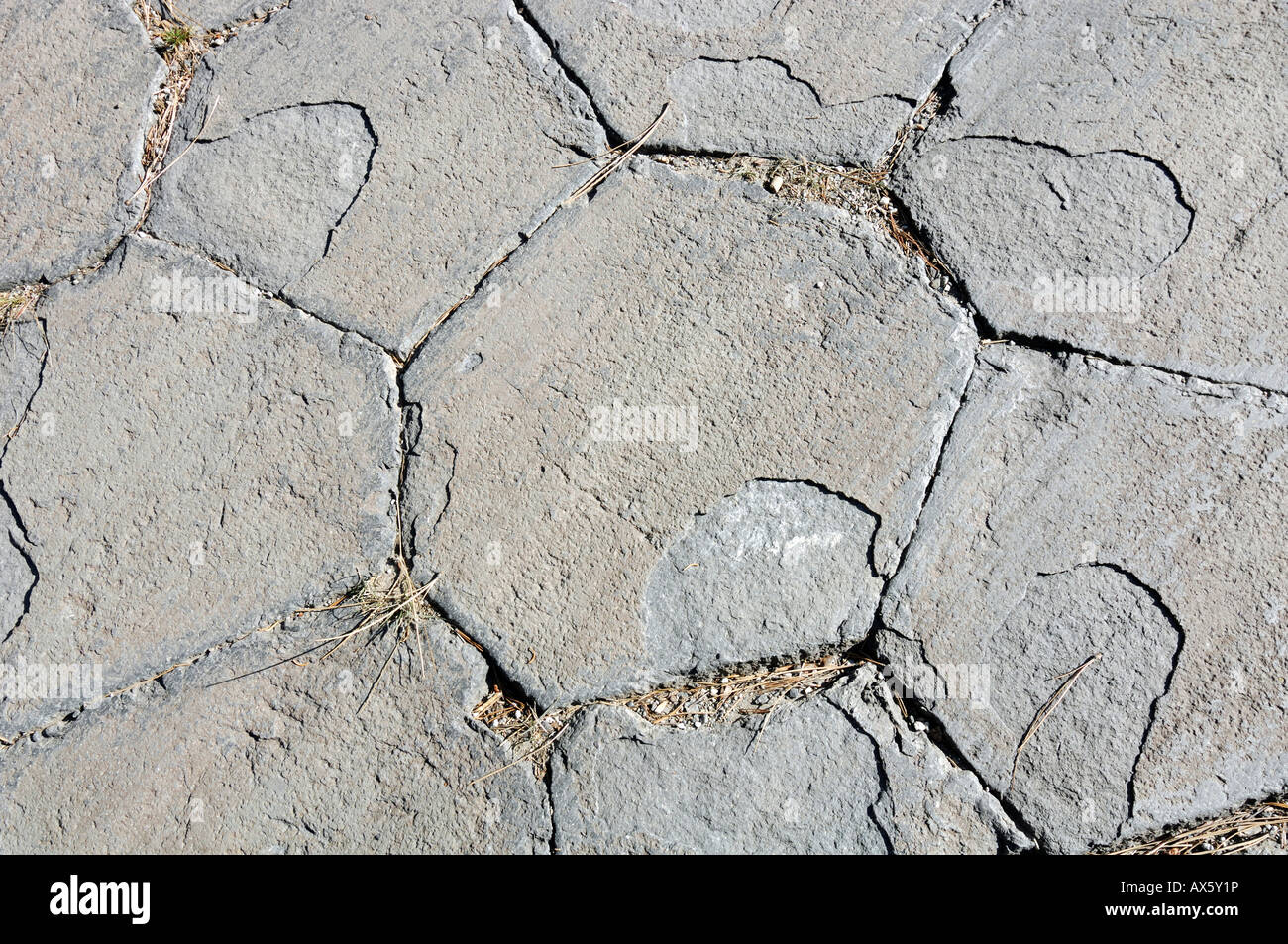 Modèle hexagonal sur la surface supérieure de colonnes de basalte à Mammoth Lake, Devil's Postpile National Monument, California, USA Banque D'Images