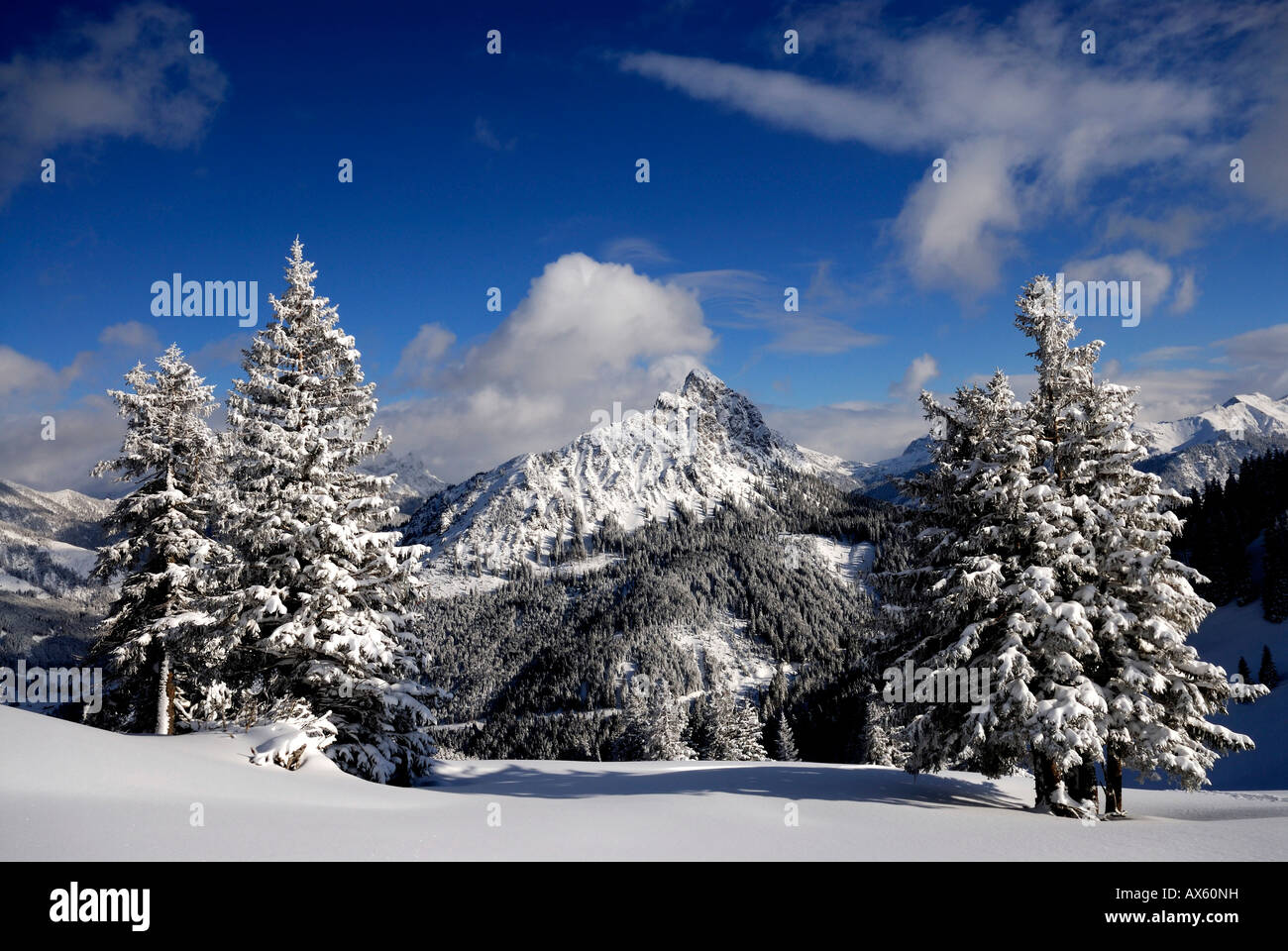 Arbres couverts de neige avec des montagnes en arrière-plan, paysage d'hiver à Pfronten, Bavaria, Germany, Europe Banque D'Images