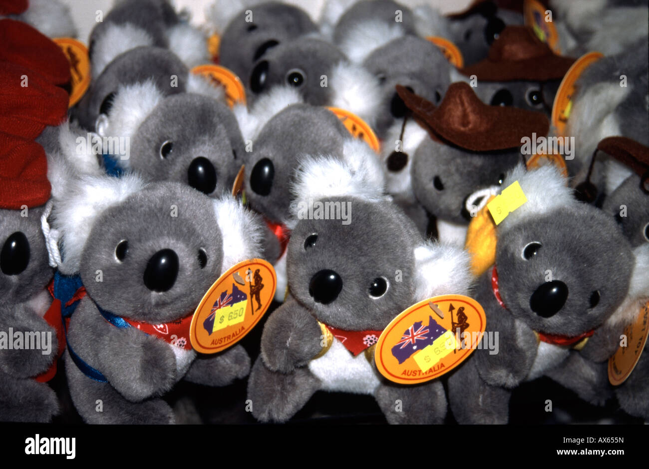 Ours koala jouet en vente en magasin de souvenirs à Sydney Australie Banque D'Images