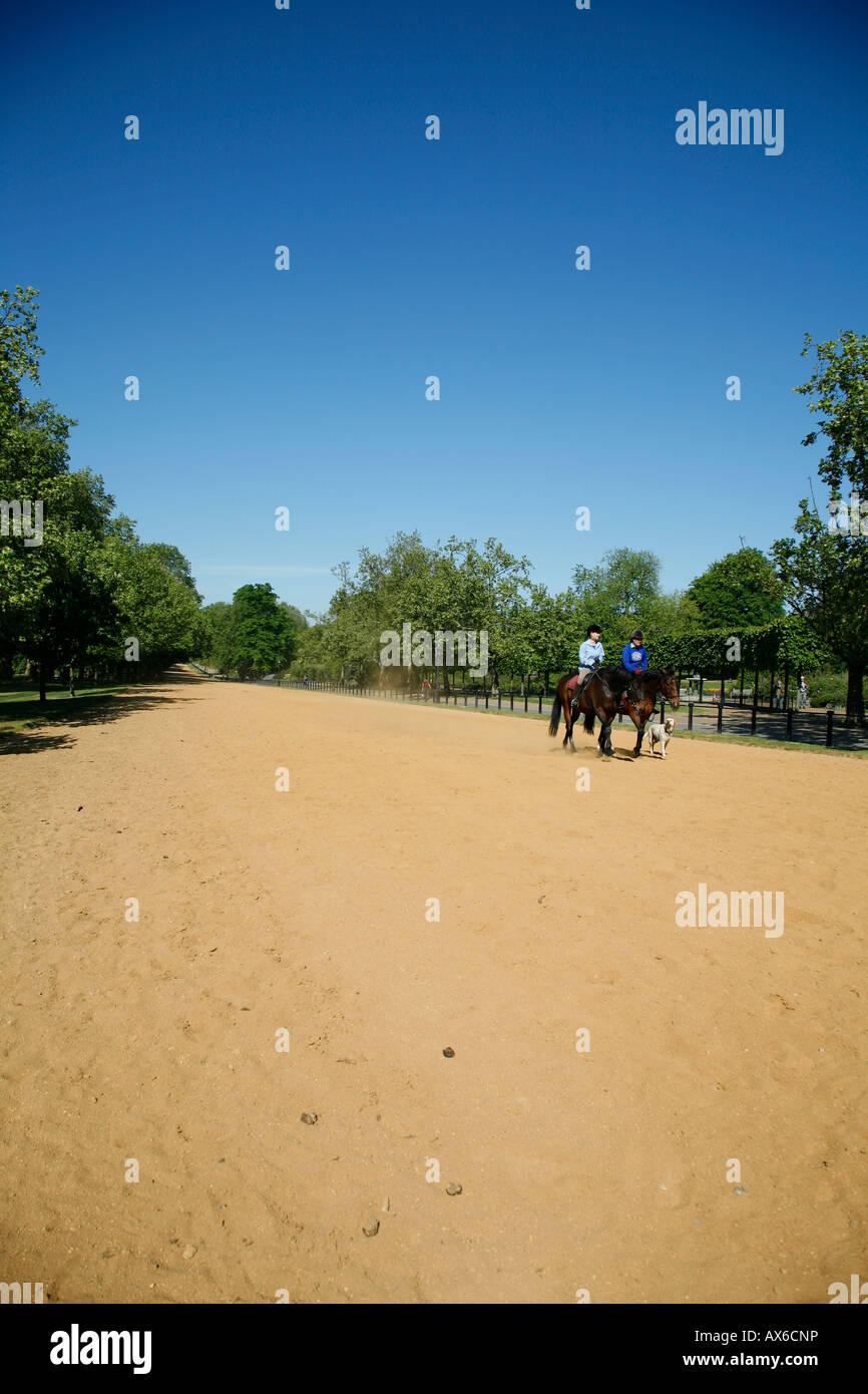 L'équitation sur Rotten Row, Hyde Park, London Banque D'Images