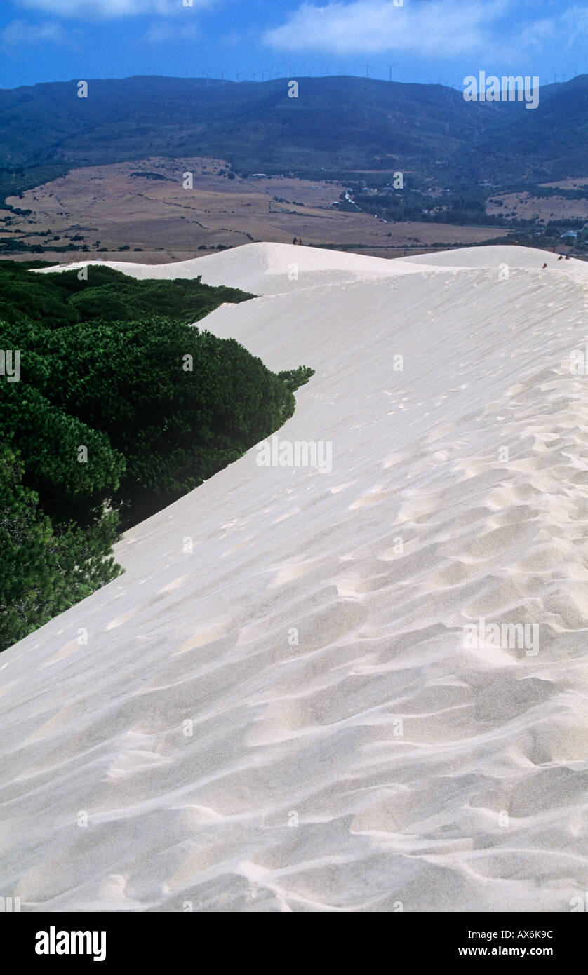 Tarifa, dune de sable, la province de Cádiz, Andalousie, Espagne Banque D'Images