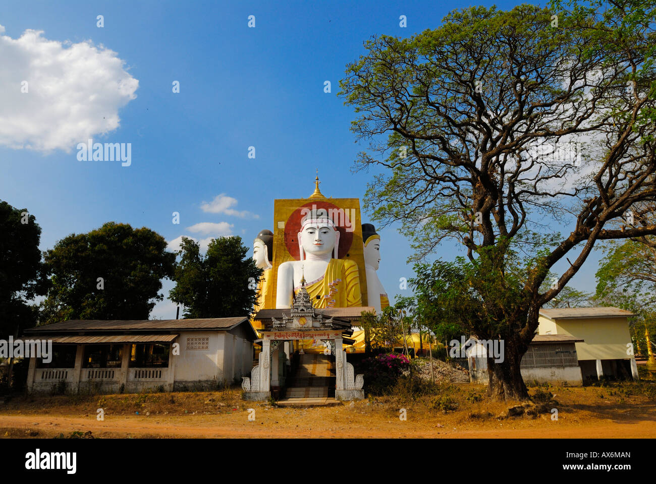 Arbre en face de temple bouddhiste, Pagode Kyaikpun, Kyaik Pun Pagode, Bago, Myanmar Banque D'Images