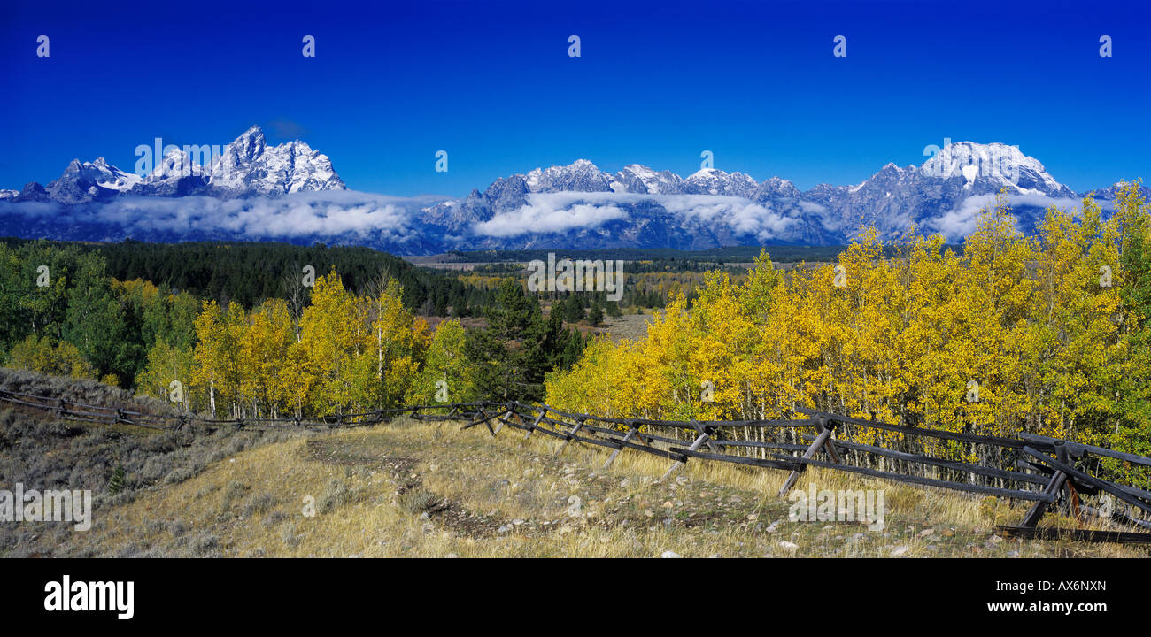 Chaîne Teton et ligne de clôture de couleur à l'automne Le Grand Teton NP Wyoming Septembre 2005 Banque D'Images