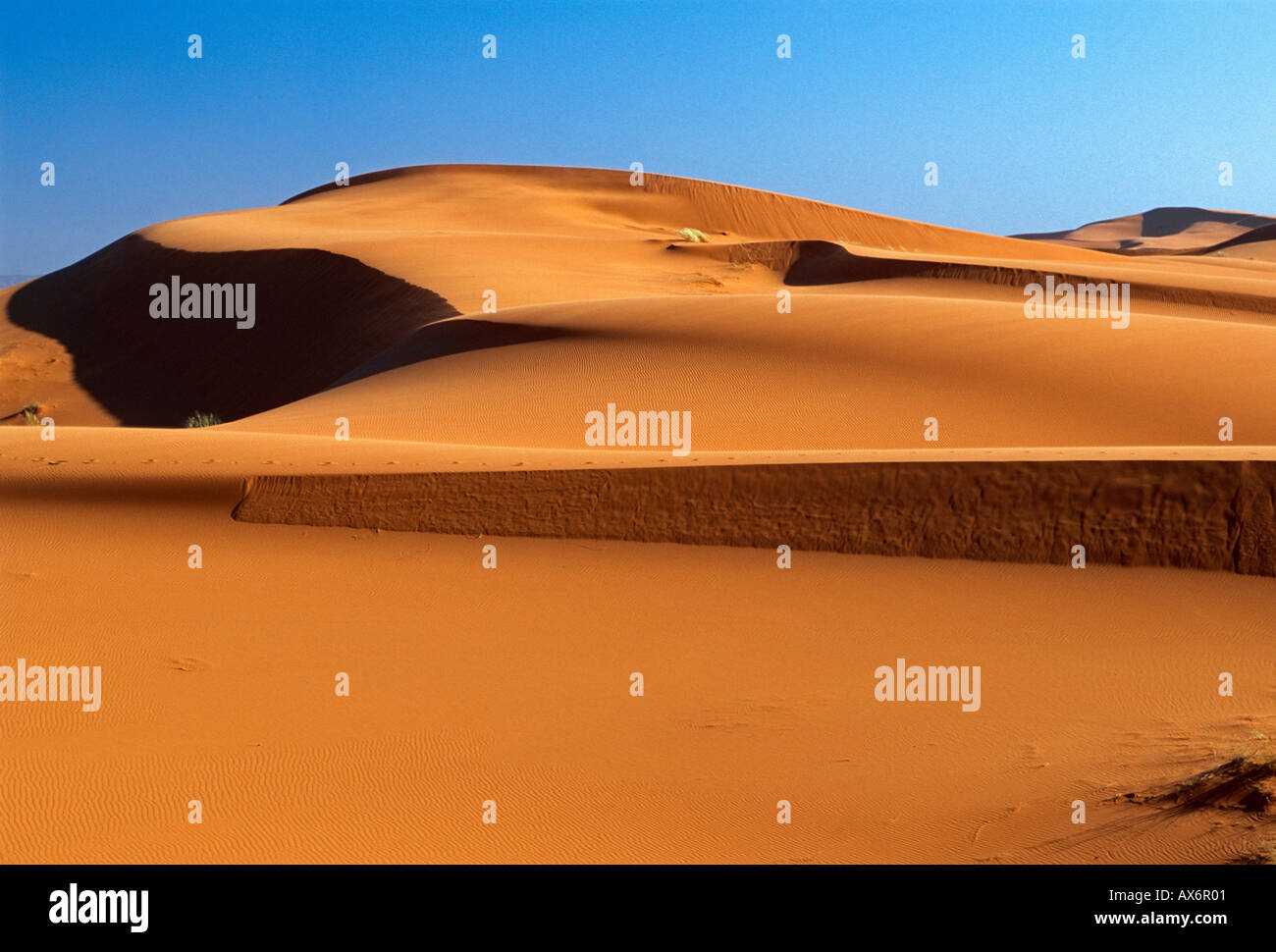 Dune de sable, dunes, Erg Chebbi, désert du Sahara, le lever du soleil, l'aube, l'aube, le paysage, la Province d'Errachidia, Merzouga, Maroc Banque D'Images