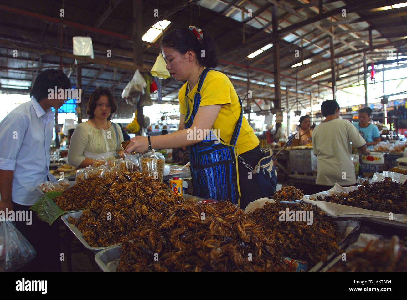 Les insectes frits sont un mets souvent vendus dans les marchés thaïlandais Banque D'Images