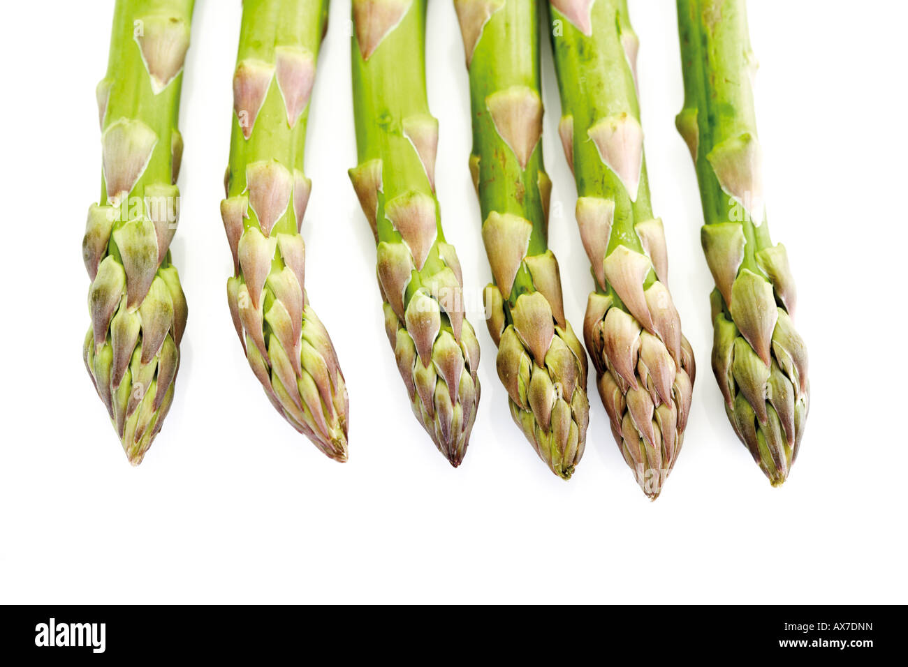 Asperges vertes Banque D'Images
