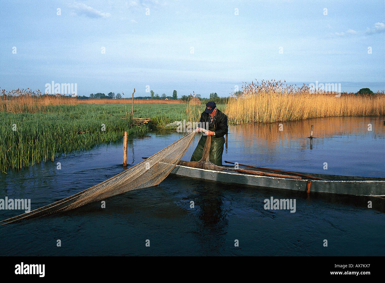 Aalfischen Flussgebiet, Biebrza, Polen Banque D'Images