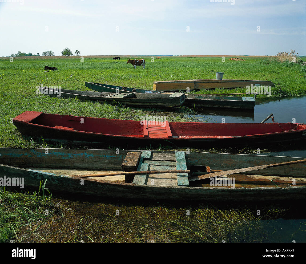 Des chaloupes se trouvant à la berge, Biebrza, Pologne Banque D'Images