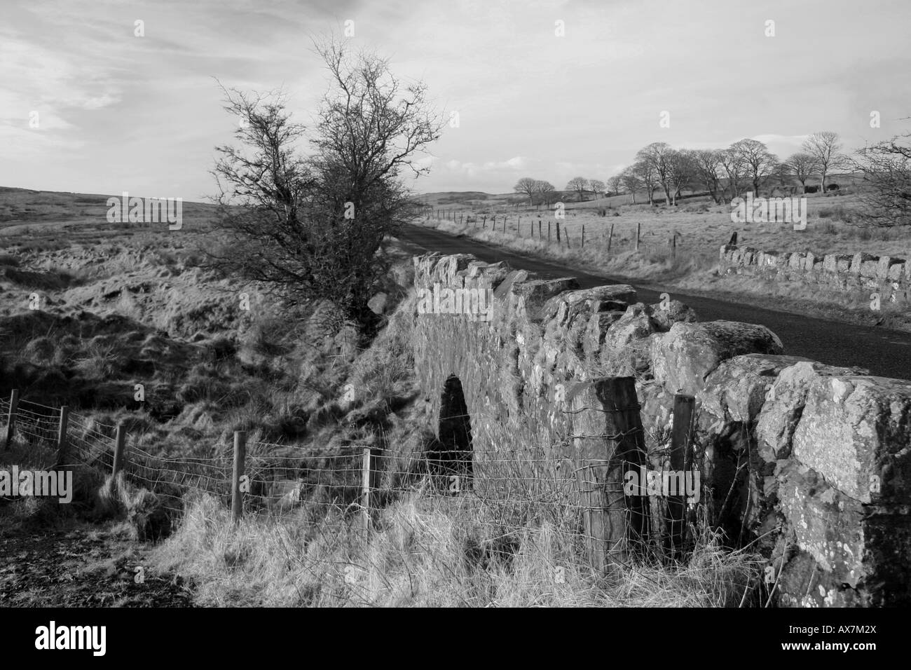 Un pont de pierre le long du récif East Road dans le comté d'Antrim en Irlande du Nord Banque D'Images