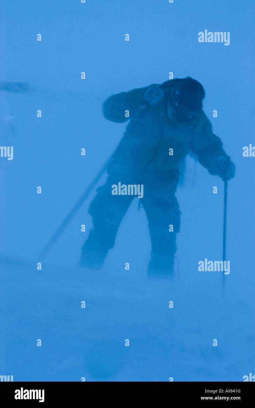 Recrute sur skis Premier jour de survie des Forces spéciales hiver trainingDanish Chien Sirius patrouille au nord est du Groenland Banque D'Images