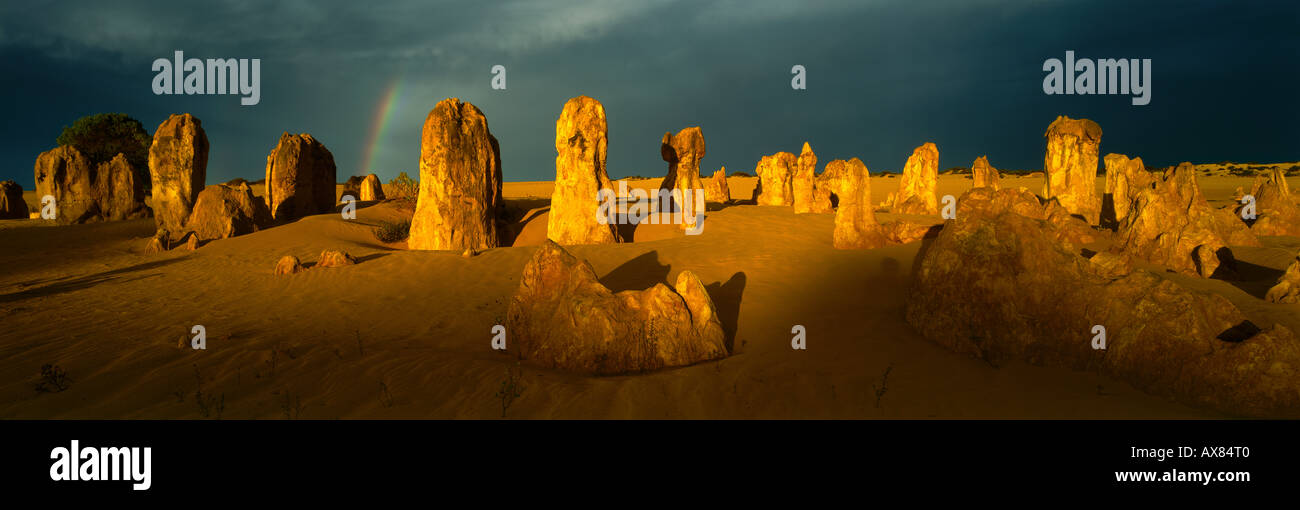 Les Pinnacles, des formations calcaires, le Parc National de Nambung, Western Australia, Australia Banque D'Images
