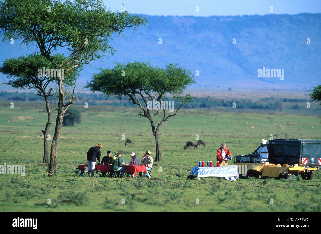 Dans Ballonflug Fruehstueck Steppe nach Transworld, safaris, les gnous dans Distanz Masai Mara Natl. Réserver, Kenia Banque D'Images