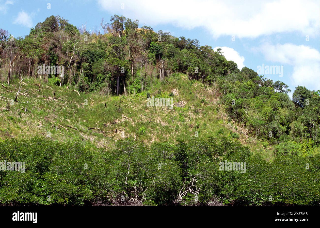 Philippines Palawan près de la déforestation environnement Liminangcong Banque D'Images