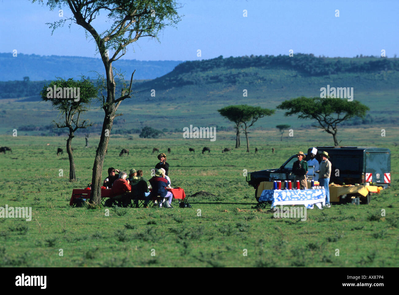 Fruehstueck dans Ballonflug Transwold nach Steppe, safaris, les gnous dans Distanz Masai Mara Nat. Réserver, Kenia Banque D'Images