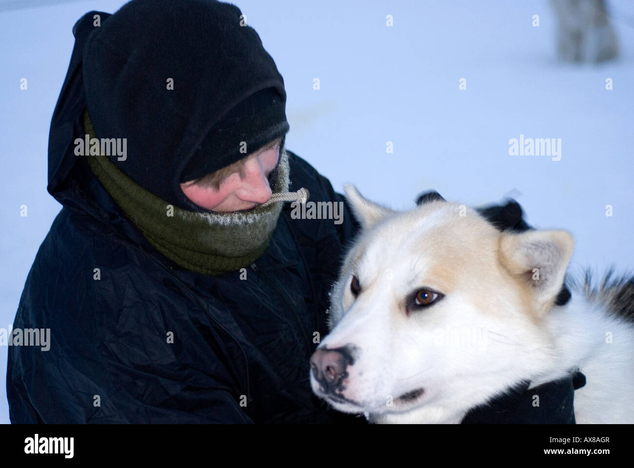 Les spid avec Mads Woemer nommé instructeur de survie après l'hiver des forces spéciales danois patrouille chien Sirius North East Greenl Banque D'Images