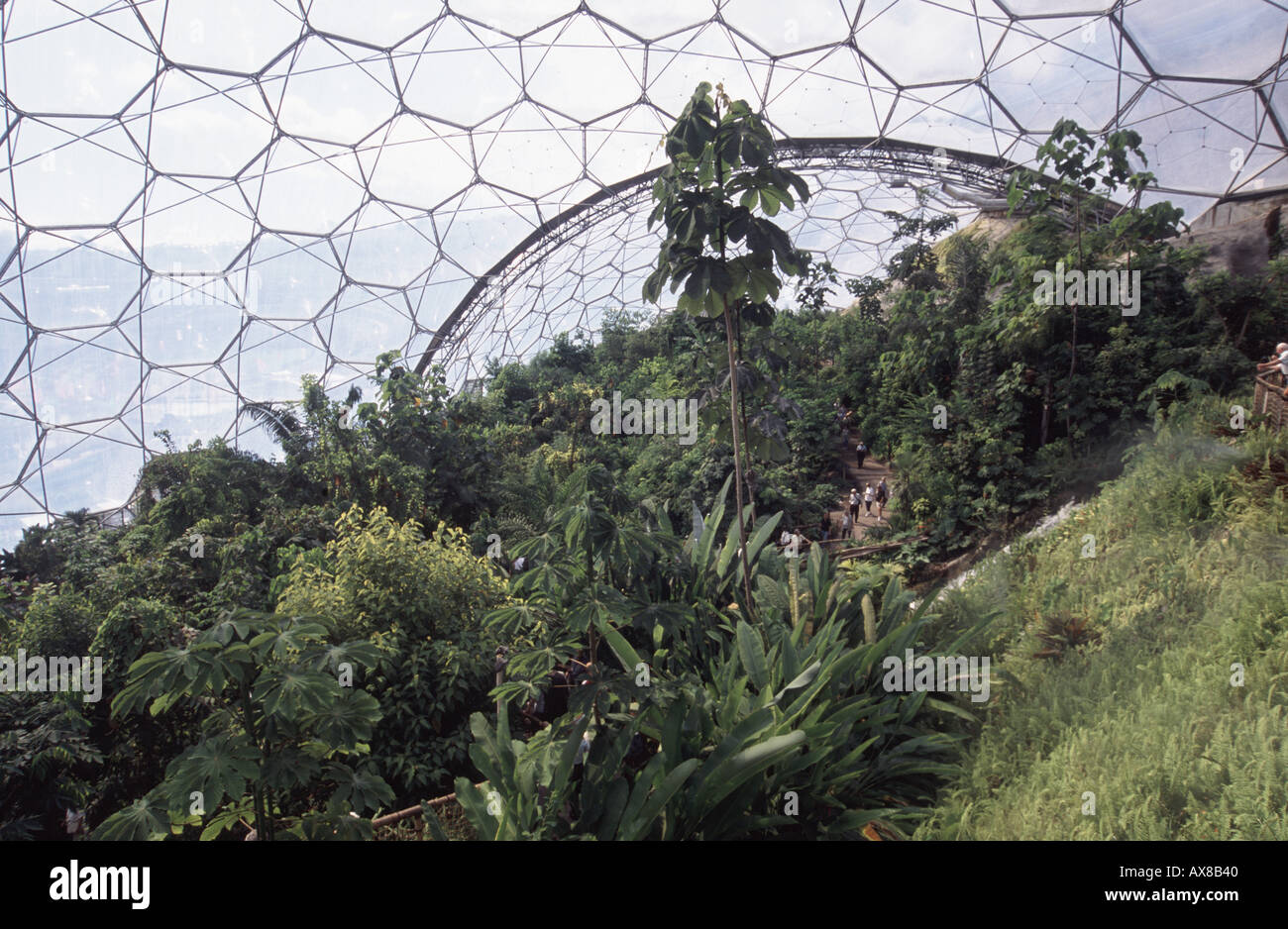 Eden Project Cornwall Angleterre Banque D'Images