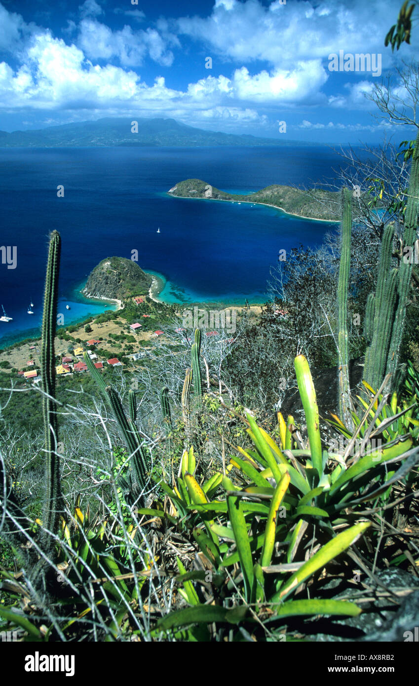 Îles des Saintes. La Guadeloupe. Le Pain de Sucre Banque D'Images