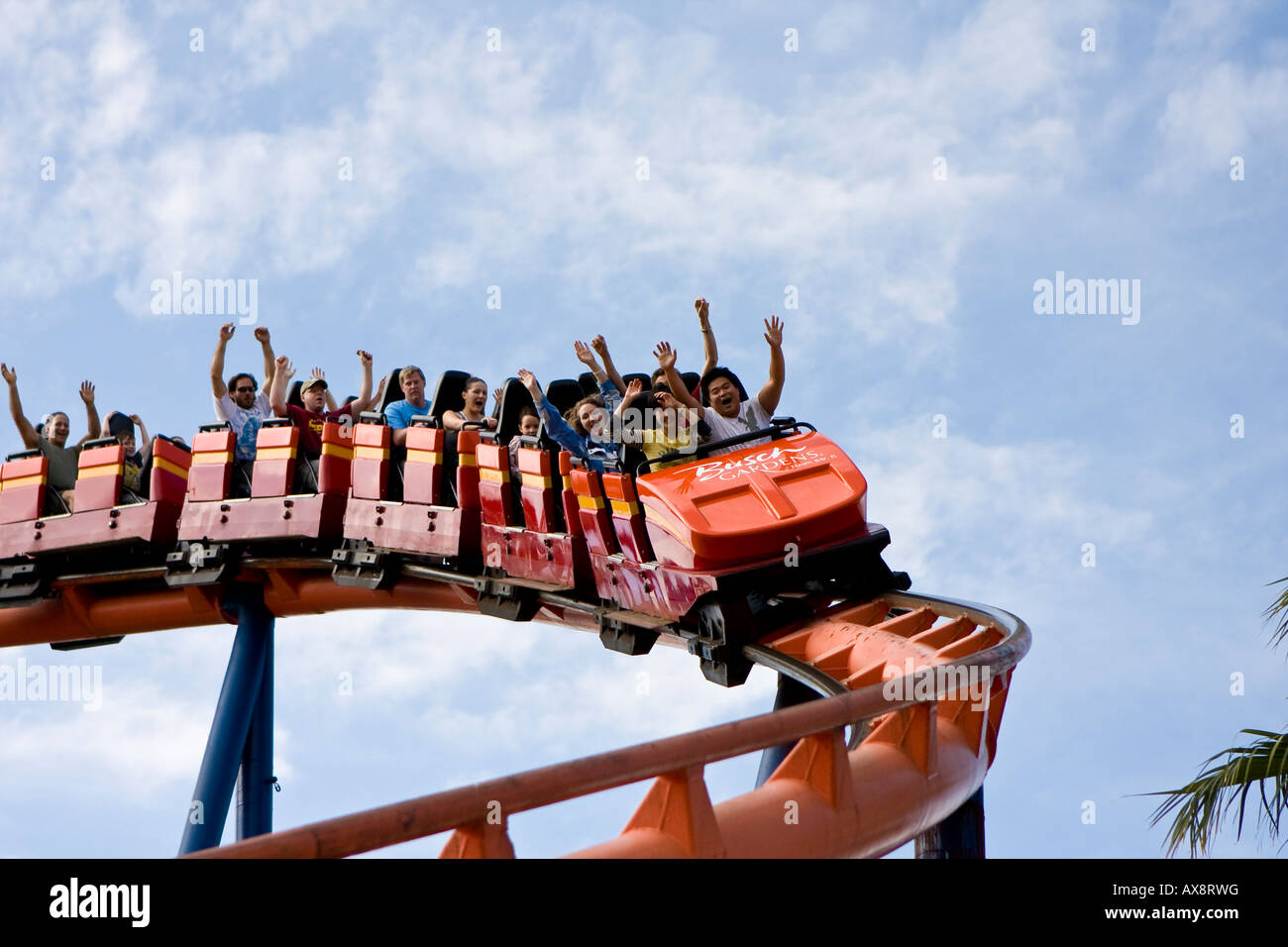 Roller Coaster de Scorpion à Busch Gardens Tampa Florida USA Fl U S Banque D'Images