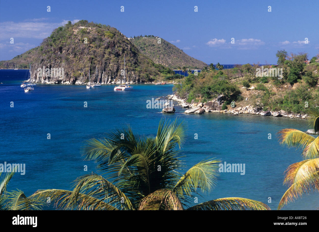 Îles des Saintes. La Guadeloupe. Le Pain de Sucre Banque D'Images