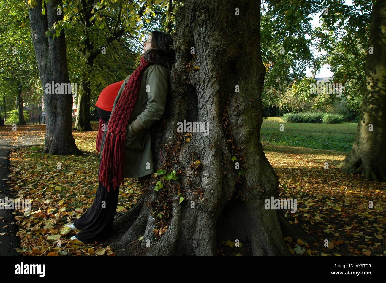 Femme enceinte dans son troisième trimestre repose contre un arbre dans le parc Banque D'Images