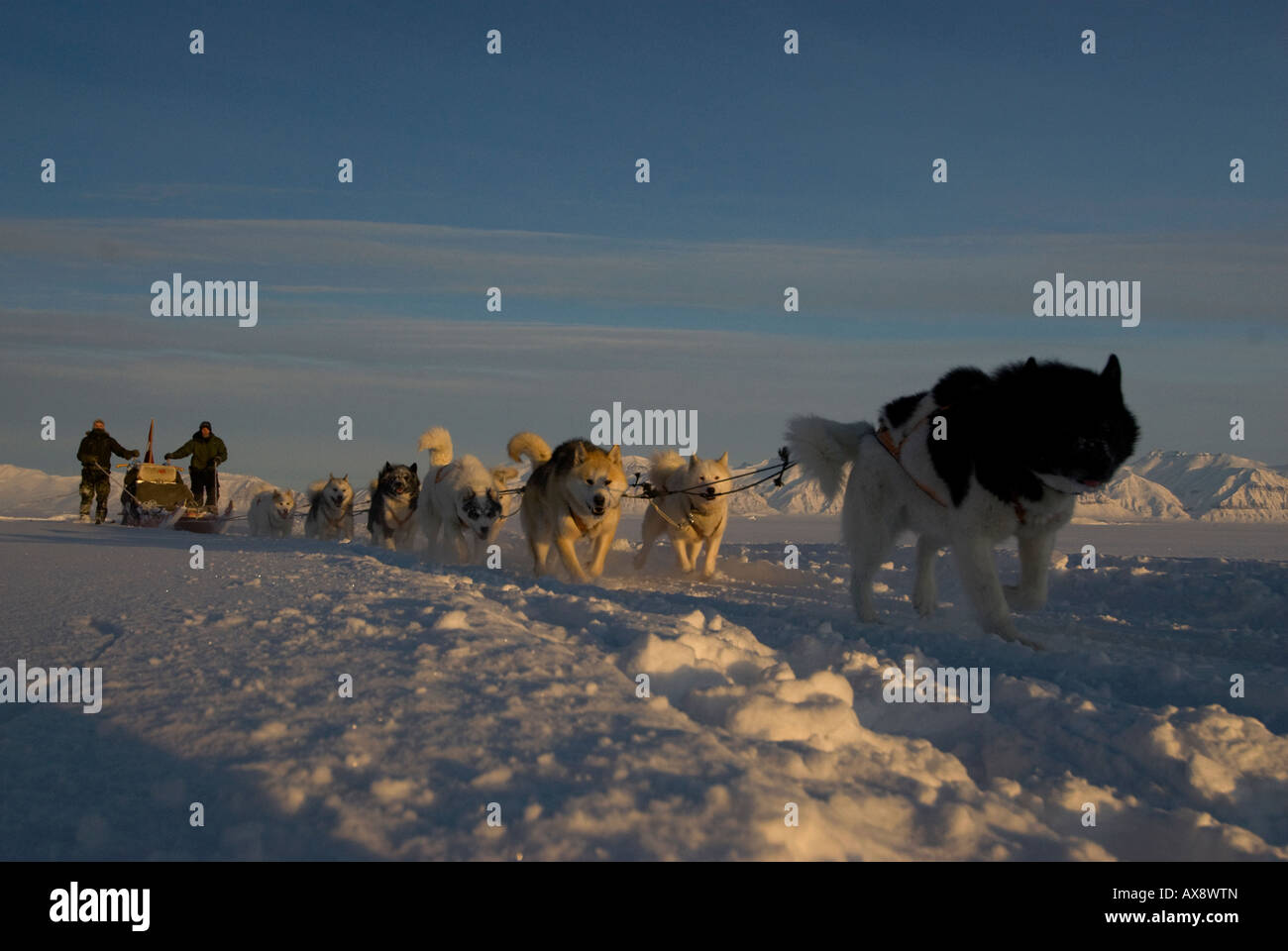 L'équipe de chien de traîneau 5 Jens Jepsen et Soren Christiansen 30 Forces Spéciales danois patrouille chien Sirius Mestersvig Groenland nord-est Banque D'Images