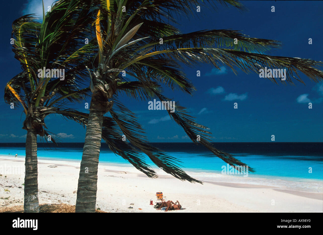 Pink Beach, Bonaire, Niederlaendische Karibik Antillen Banque D'Images