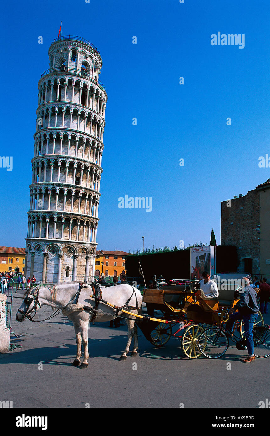 Entraîneur avant Tour de Pise, la Piazza dei Miracoli, Pisa, Toscane, Italie Banque D'Images