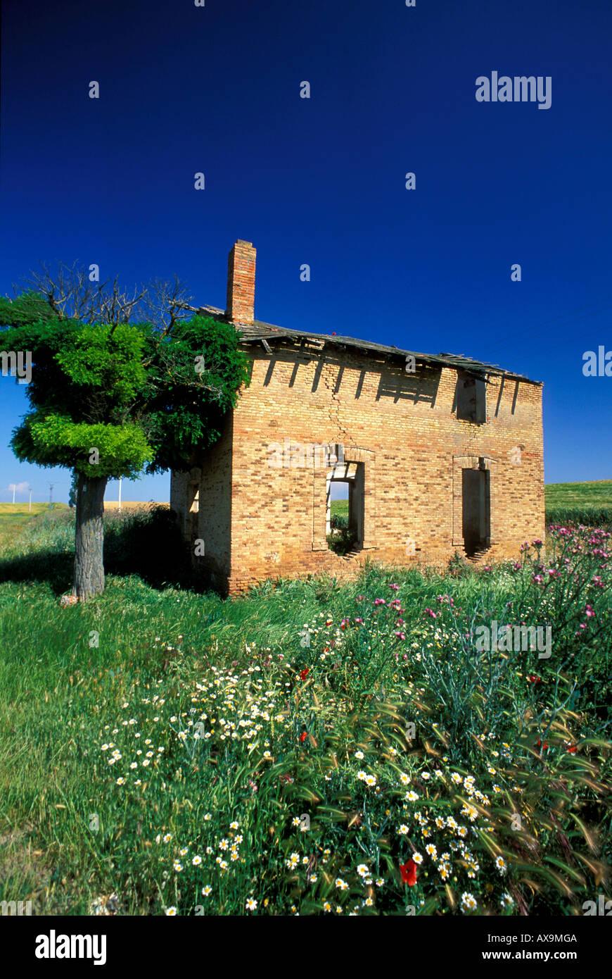 Cottage abandonné près de Palencia, Prov. Palencia, Castille Leon, Espagne Banque D'Images