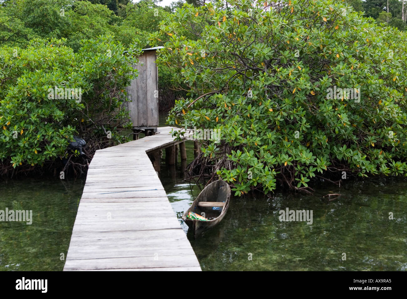 Outhouse Mangrove Bocas del Toro Panama Banque D'Images
