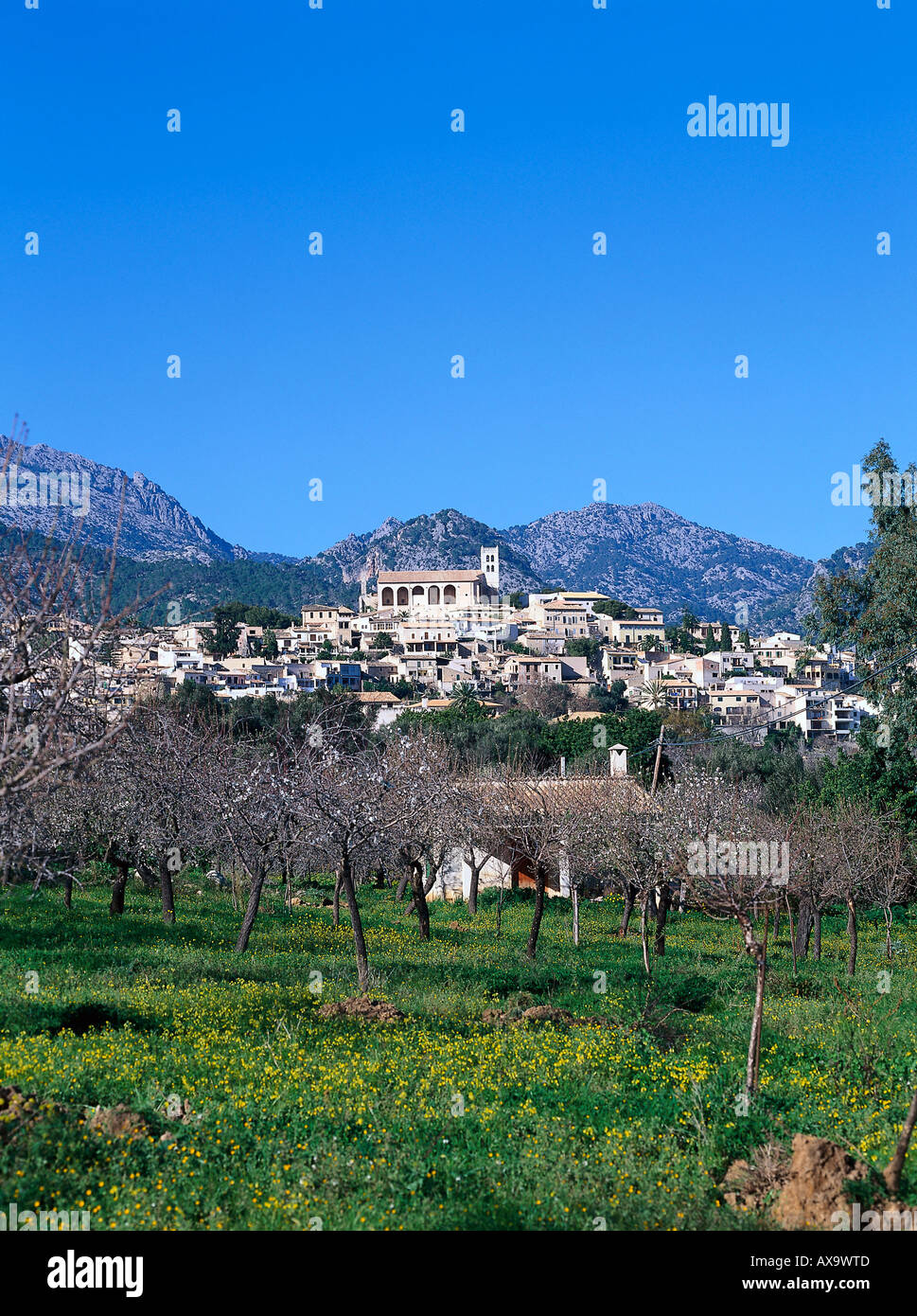 Serra de Tramuntana, Selva, Majorque, Espagne Banque D'Images