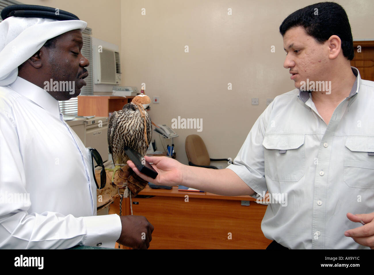 Un vétérinaire vérifie un pèlerin dans la clinique vétérinaire de Doha, au Qatar. Banque D'Images