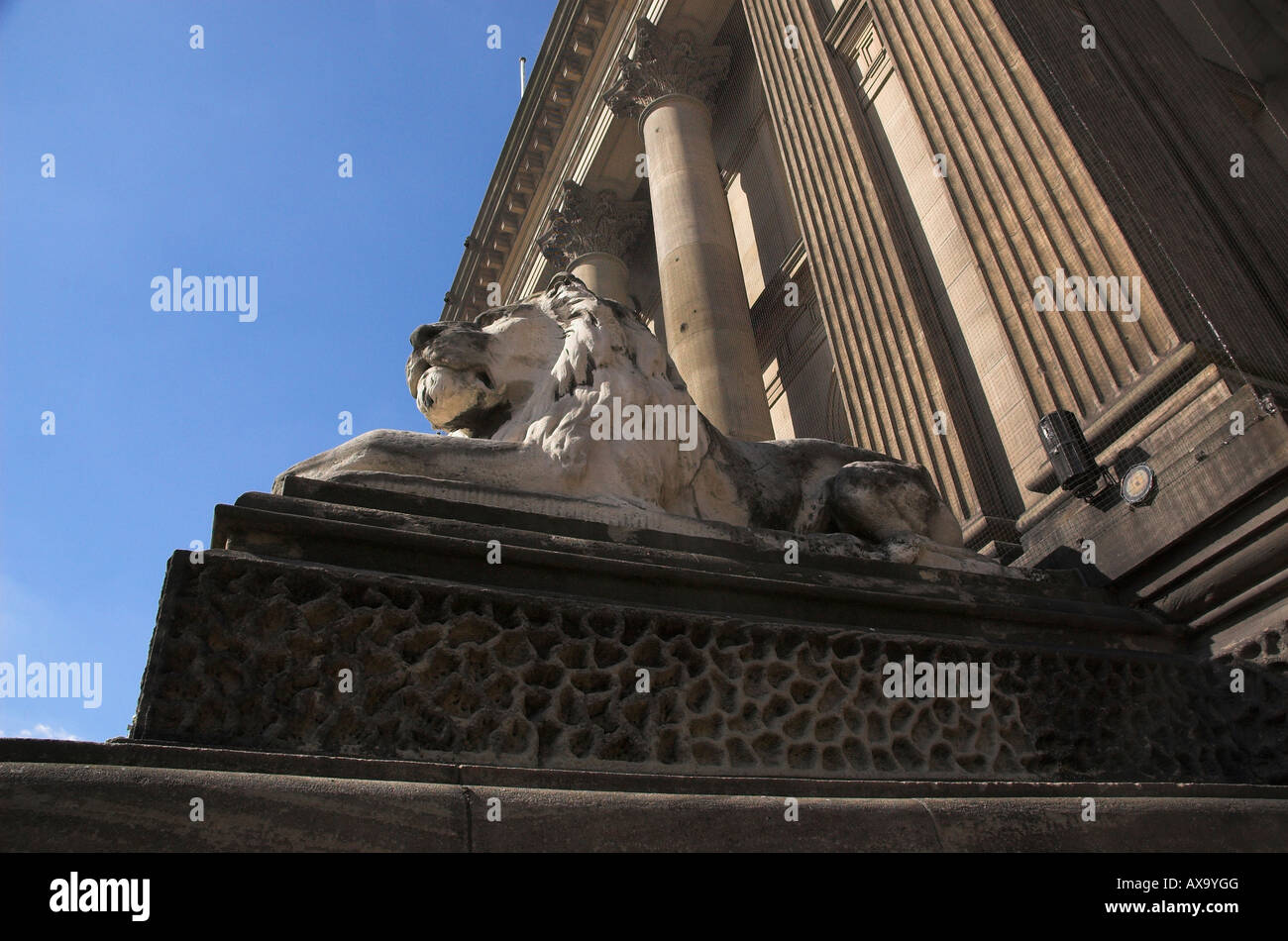 L'un des Lions à l'extérieur de l'hôtel de ville de Leeds Banque D'Images