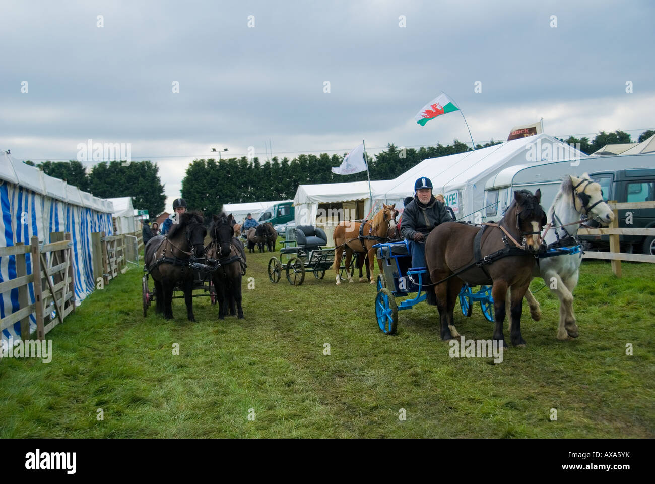 Les courses de chevaux se précipitent Buggies et doublure en préparation pour une course Banque D'Images