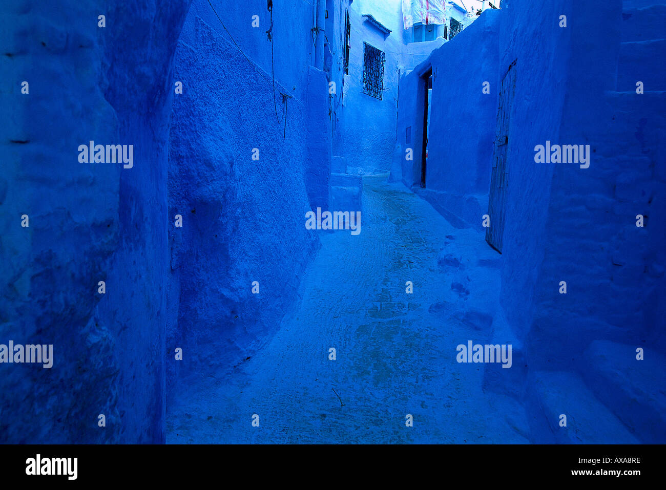 Blaue Fassaden, Gasse, Riff, Chefchaouen Marokko Banque D'Images