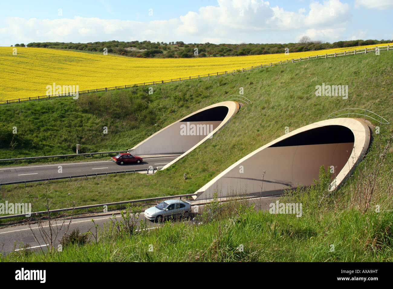 L Southwick Hill est un tunnel de 490 mètres de tunnel routier d'alésage à Shoreham-by-Sea, West Sussex, Angleterre. Banque D'Images