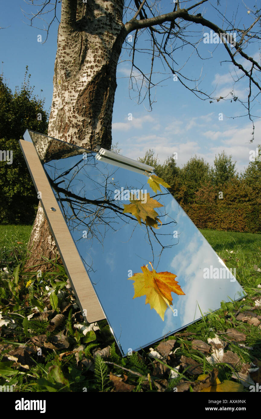Miroir en automne - Cormor Italie Frioul Udine en parc Banque D'Images