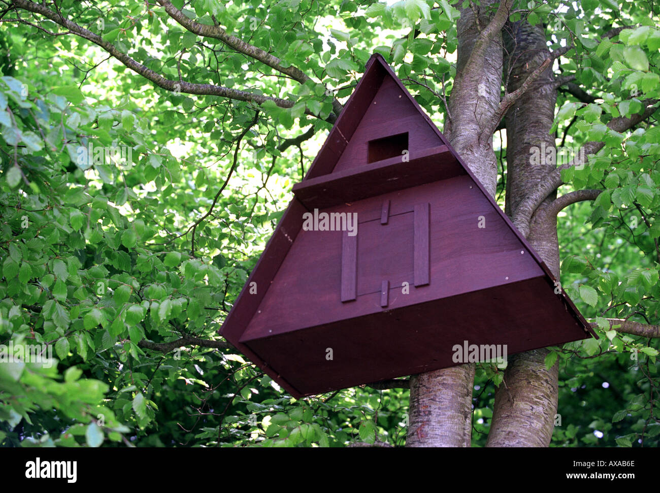 Un nichoir pour un hibou Banque D'Images