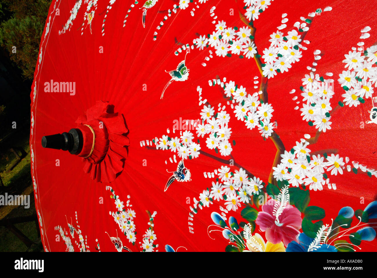 Parapluie rouge décoratif Chiang Mai Thaïlande Banque D'Images Parapluie rouge décoratif Chiang Mai Thaïlande Banque D'Images