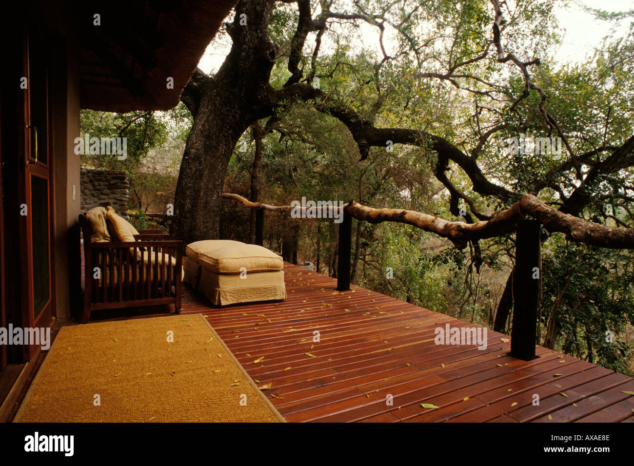 L'Afrique du Sud, Transvaal, Londolozi Tree Camp, réserver Banque D'Images