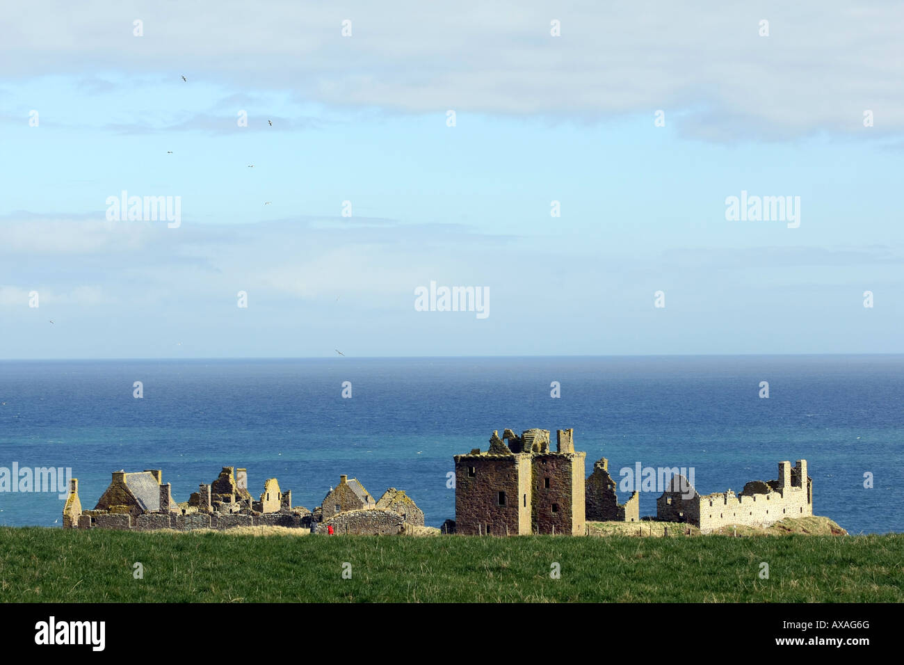 La recherche à travers les terres agricoles vers Dunnottar Castle près de Stonehaven, Aberdeenshire, Scotland, UK Banque D'Images
