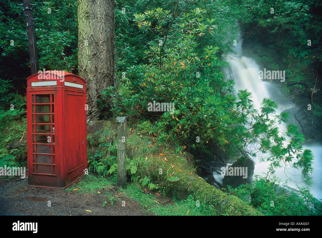 Telefonzelle im Wald, Carsaig, Mull, Grossbritannien Schottland Banque D'Images