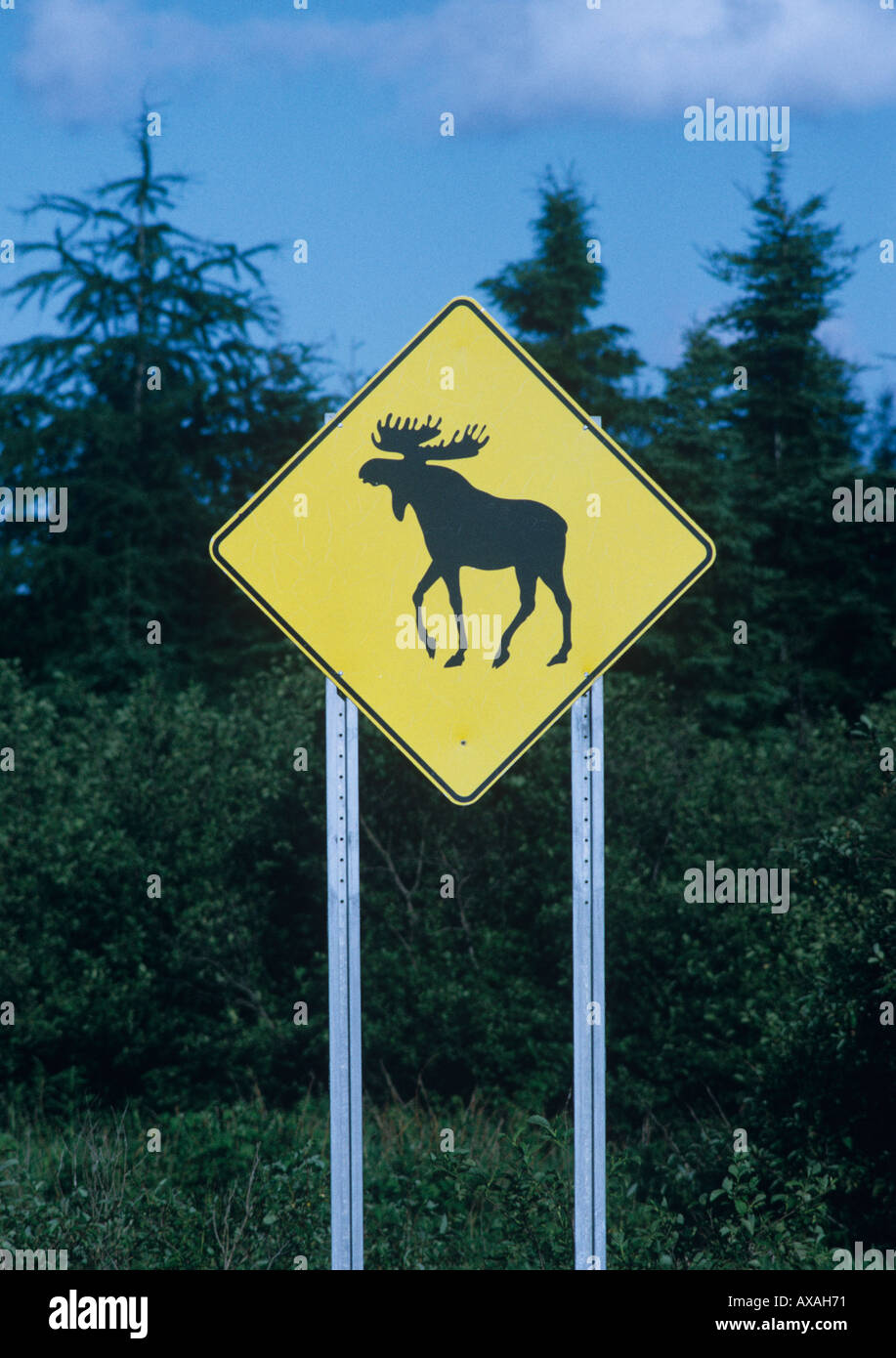 Du côté de la route d'avertissement de passage à l'orignal une collision de la route forestière pourrait causer de grands dommages au véhicule et l'Ontario Canada Banque D'Images