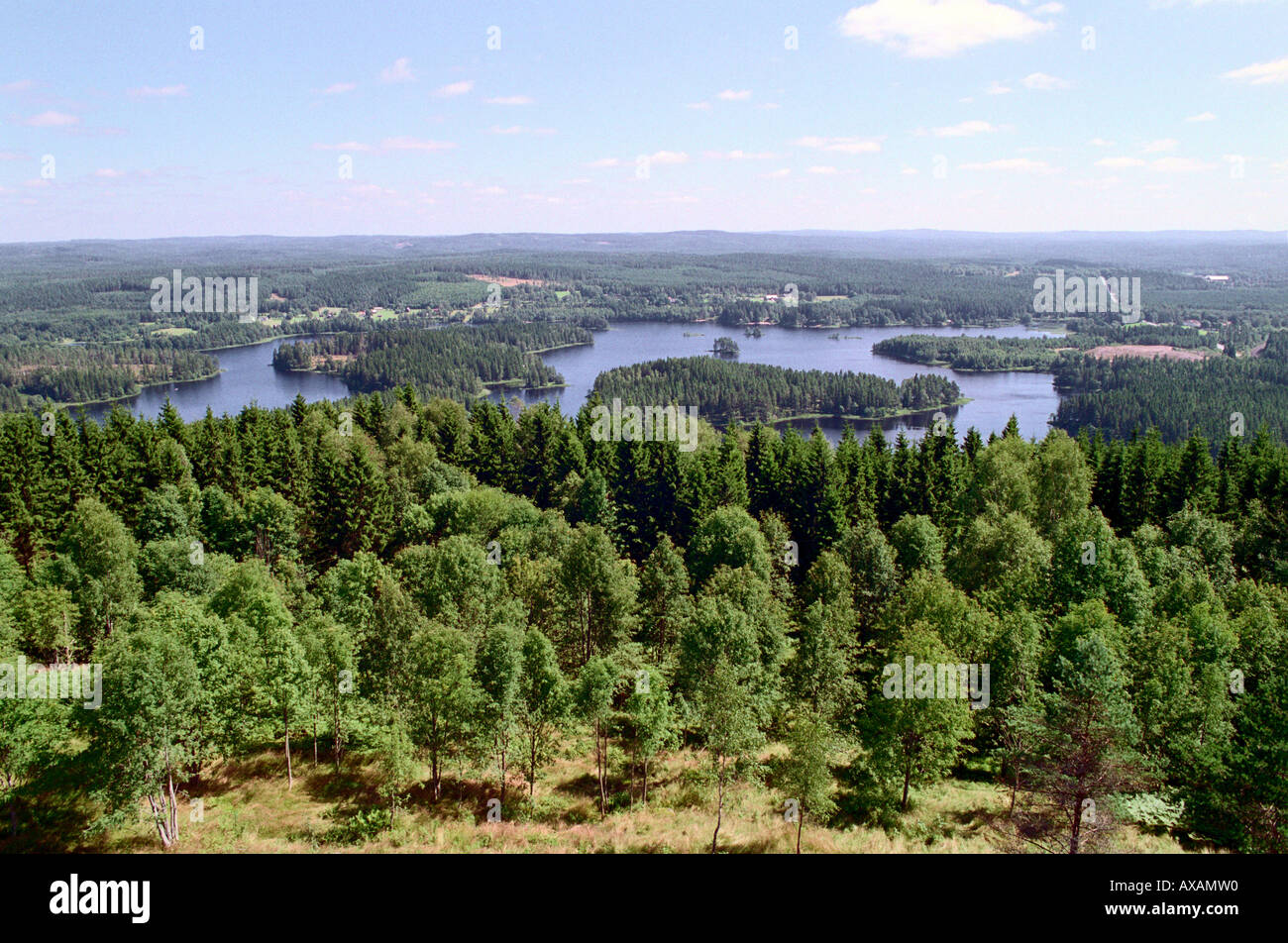 Paysage typiquement suédois, Smaland Suède Banque D'Images