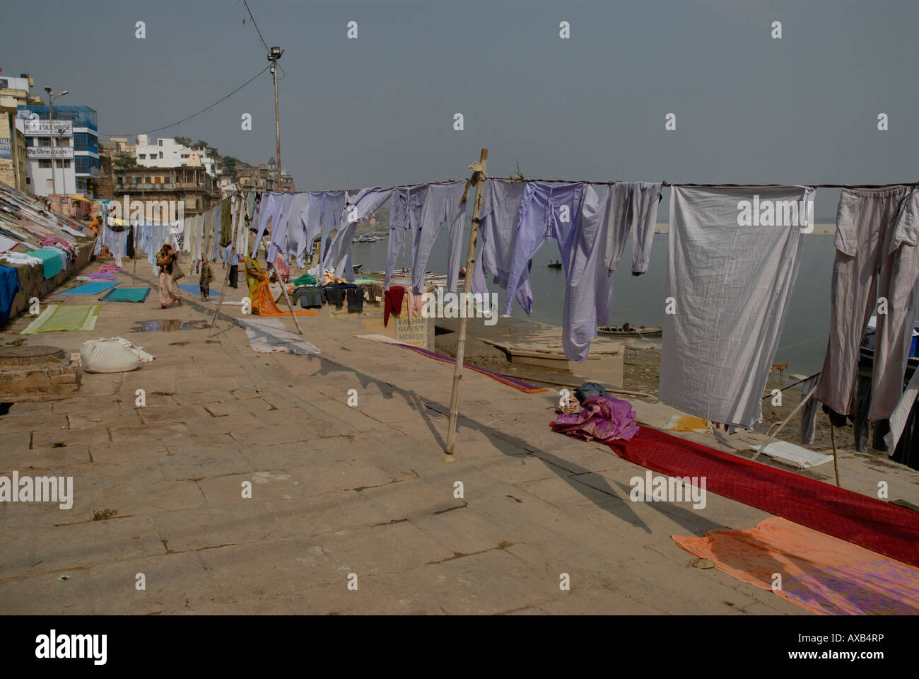 Le séchage des vêtements et de blanchisserie sur les bords du Gange. Varanasi Inde Banque D'Images