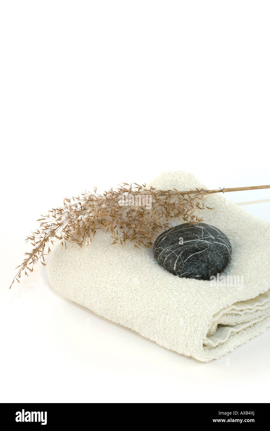 Wellness isolated on white Banque D'Images