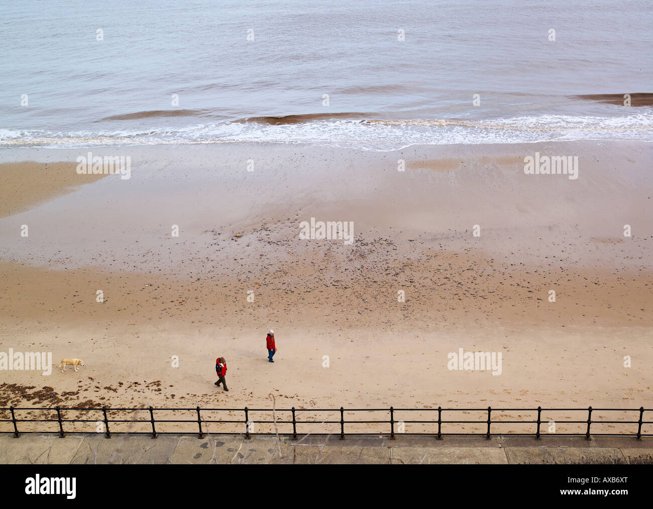 Un couple en train de marcher sur la plage à Mundesley à marée basse avec leur chien Banque D'Images