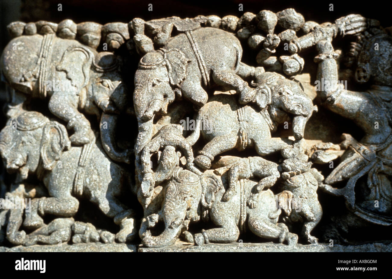 Halebid (Inde) Hoysalesvara lutte de l'éléphant du temple. Karnataka Banque D'Images