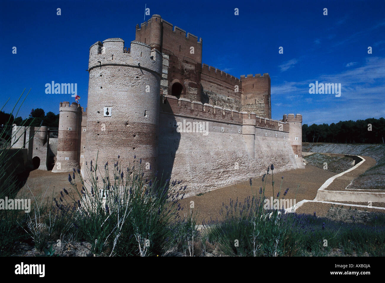 Castillo de la Mota, Medina del Campo, Espagne Castilla Banque D'Images