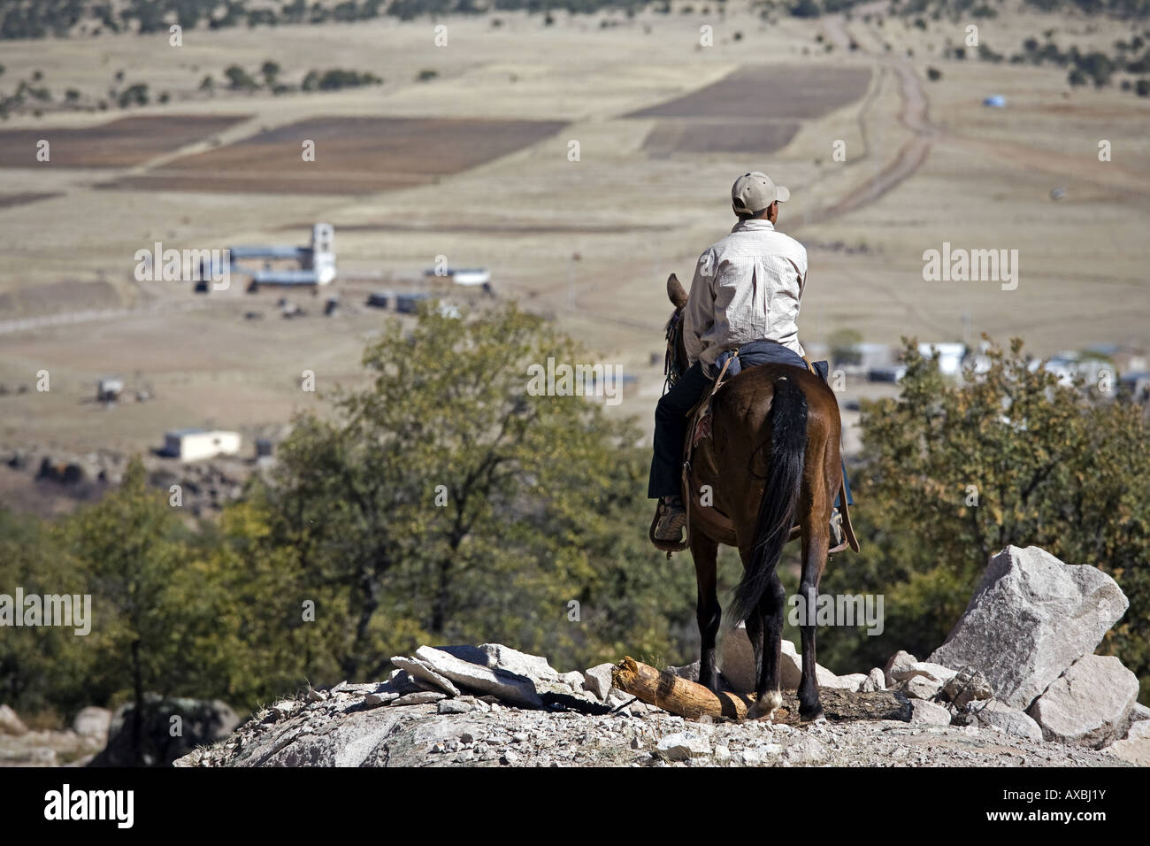 Carichi Mexique ranch près de Carichi dans l'État de Chihuahua Banque D'Images