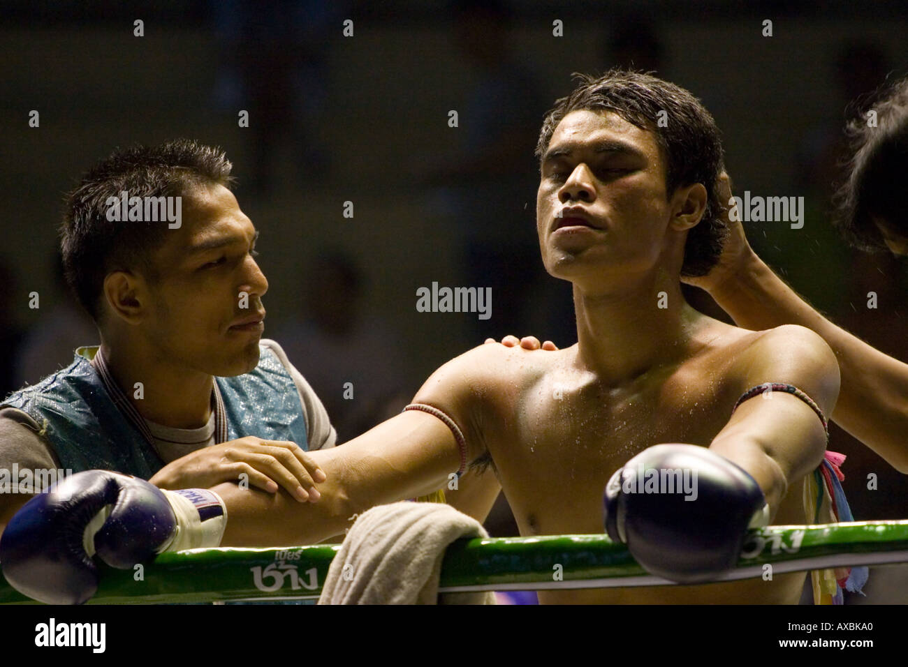 Muay Thai boxing fighter obtenir des encouragements de son équipe en entre les tours (stade Rajadamnern, Bangkok, Thaïlande). Banque D'Images